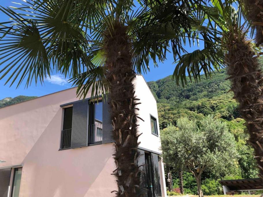 Sinergia E Benessere SantʼAntonio Buitenkant foto