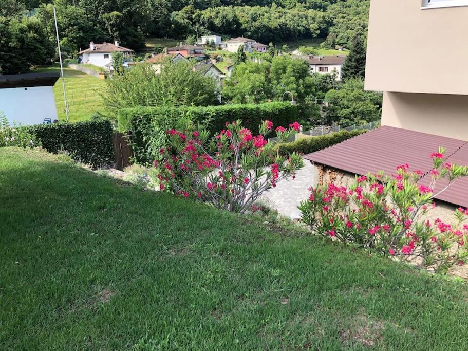 Sinergia E Benessere SantʼAntonio Buitenkant foto