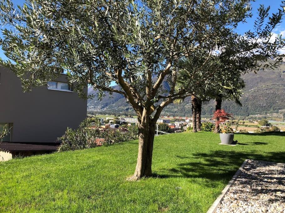Sinergia E Benessere SantʼAntonio Buitenkant foto